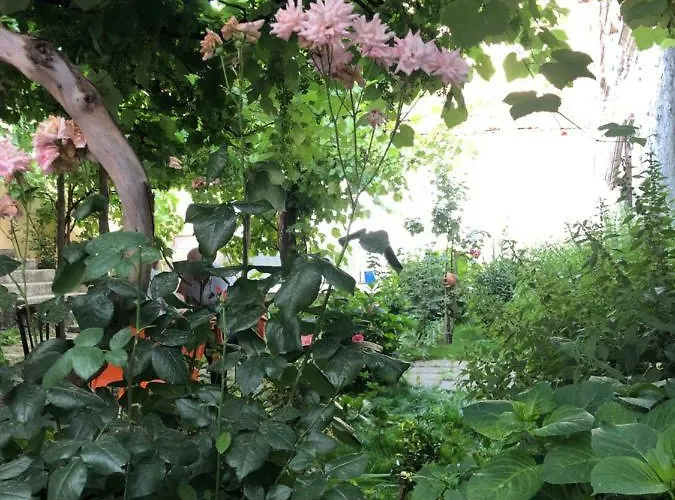 Deshati Hostel * Peshkopi